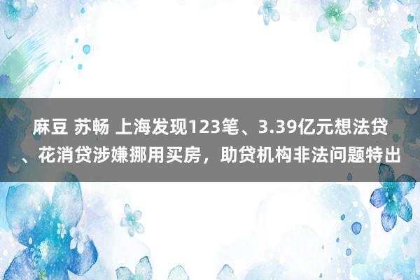 麻豆 苏畅 上海发现123笔、3.39亿元想法贷、花消贷涉嫌挪用买房，助贷机构非法问题特出