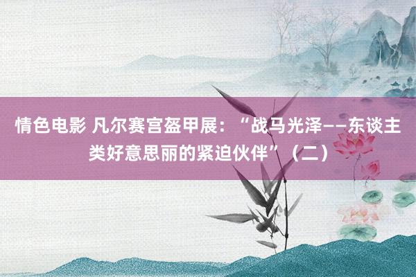 情色电影 凡尔赛宫盔甲展：“战马光泽——东谈主类好意思丽的紧迫伙伴”（二）