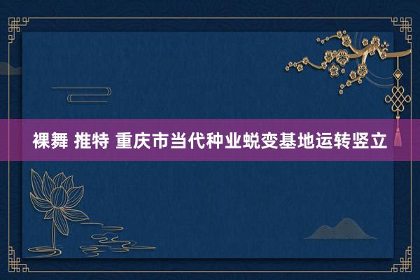 裸舞 推特 重庆市当代种业蜕变基地运转竖立