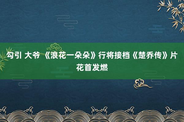 勾引 大爷 《浪花一朵朵》行将接档《楚乔传》片花首发燃