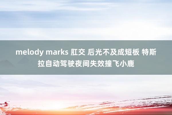 melody marks 肛交 后光不及成短板 特斯拉自动驾驶夜间失效撞飞小鹿