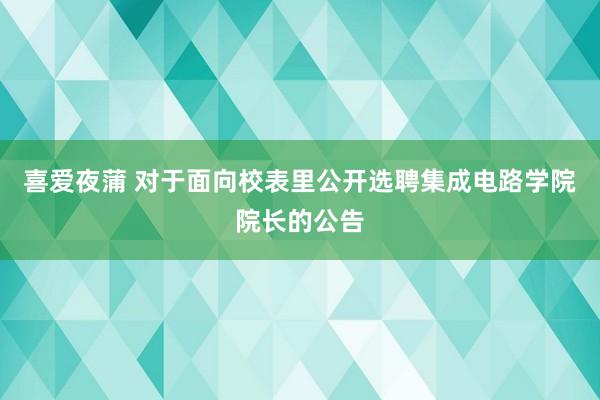 喜爱夜蒲 对于面向校表里公开选聘集成电路学院院长的公告