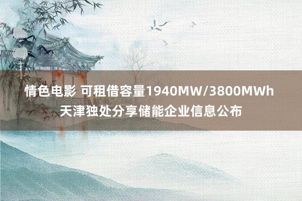 情色电影 可租借容量1940MW/3800MWh 天津独处分享储能企业信息公布