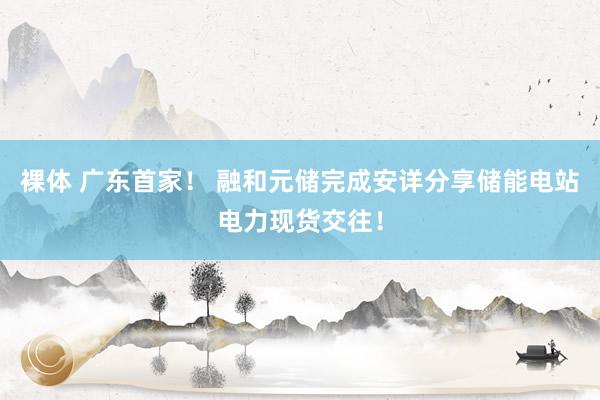 裸体 广东首家！ 融和元储完成安详分享储能电站电力现货交往！