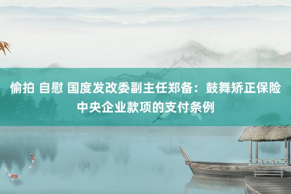 偷拍 自慰 国度发改委副主任郑备：鼓舞矫正保险中央企业款项的支付条例