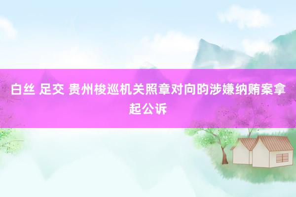 白丝 足交 贵州梭巡机关照章对向昀涉嫌纳贿案拿起公诉